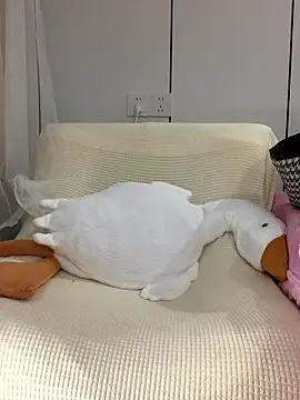 hoho-is online show from January 15, 3:07 pm