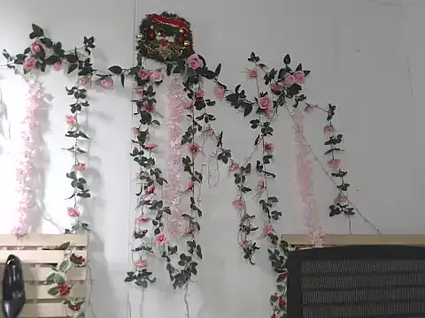 Ms sugar online show from November 20, 6:47 am