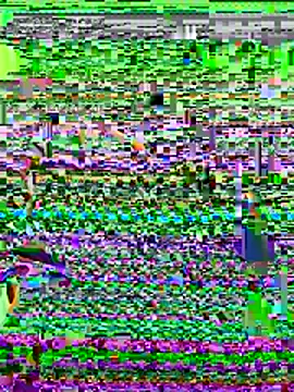 Weendolyn  online show from November 30, 3:11 am