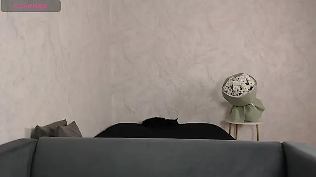 Sansa Dream online show from February 18, 12:04 pm