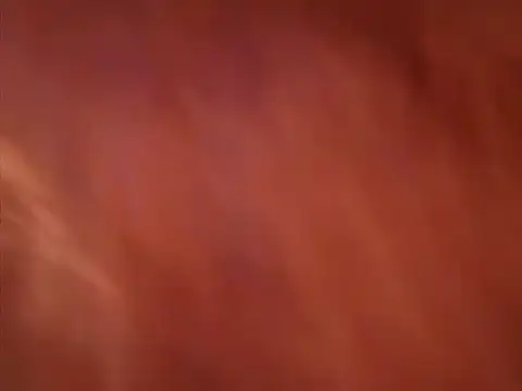 Sweet dove05 online show from November 17, 1:34 pm