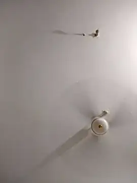 rupamim online show from March 26, 9:05 pm