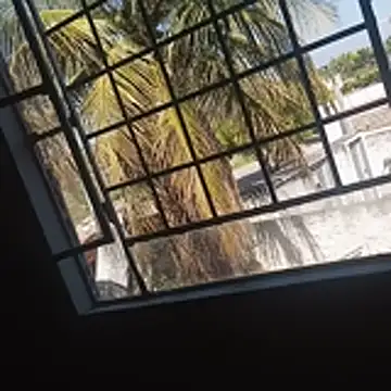  -bebe leite-  online show from November 25, 11:23 am