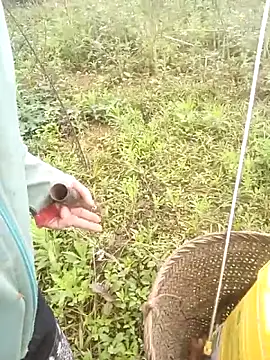 nangmo online show from March 21, 8:08 am