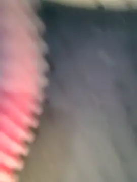 Singal bosy ki jaan online show from December 1, 11:29 pm