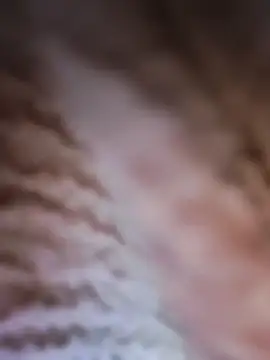 Punam panjabi online show from February 28, 7:52 am