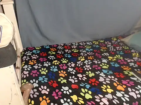 ELIZABET2- online show from January 9, 12:15 am