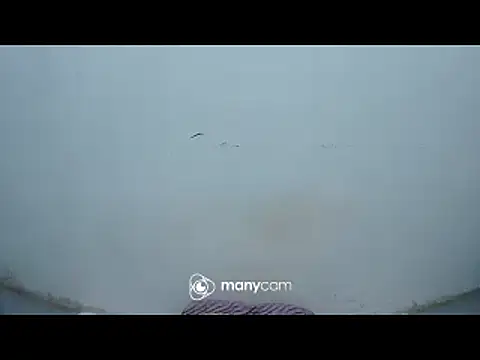 hottiemama69 online show from April 8, 12:51 pm