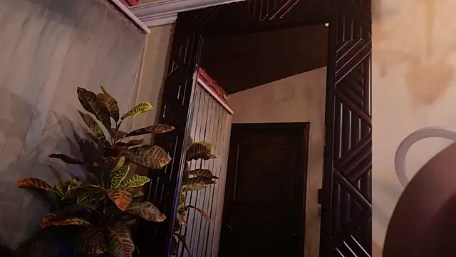 Shelly bat online show from February 13, 11:06 pm