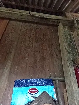 dakota-kis online show from March 23, 9:26 am