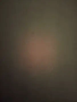 janbi sexe online show from January 15, 5:02 am