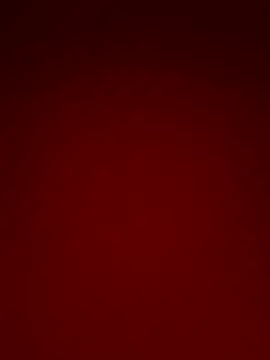 PRAPTITELUGU online show from February 11, 9:00 am