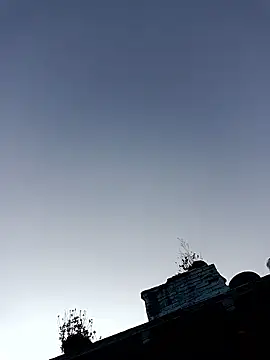 Jan 692 online show from February 17, 11:31 am