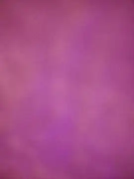 smily sophia online show from May 11, 2:41 pm