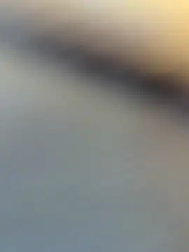 wy2026 online show from April 6, 7:09 am