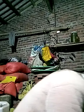 Diana-02 online show from February 3, 9:14 am