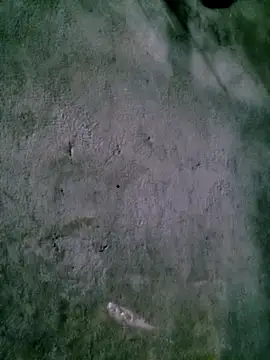 Diana-02 online show from February 15, 8:13 am