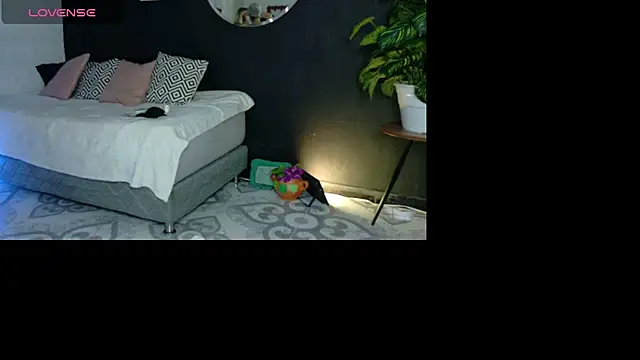 Noaah25  online show from April 18, 3:20 am