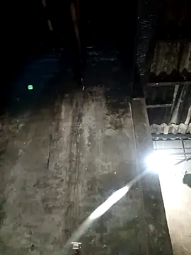 LISAA-6969 online show from April 13, 10:21 pm