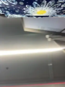 Ariax bunny online show from February 5, 3:26 pm