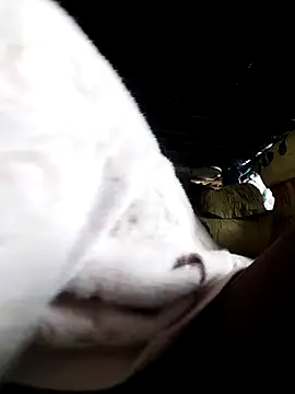 Bella-222 online show from March 10, 4:16 am