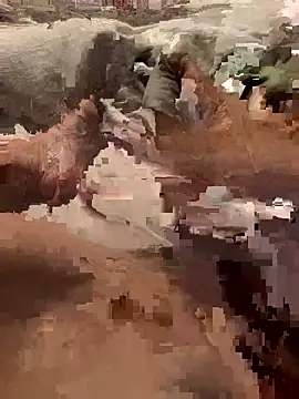 missgirl88 online show from February 16, 8:52 pm