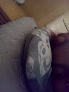 loveofpetitegirls34 online show from February 21, 8:26 am