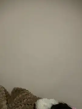 justinahallo online show from March 7, 4:30 am