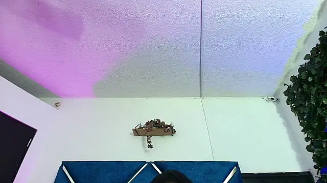 AlexaRousse4u online show from February 26, 1:37 am