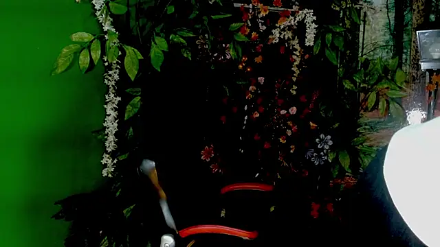 Darkiin FTM online show from February 28, 3:50 am