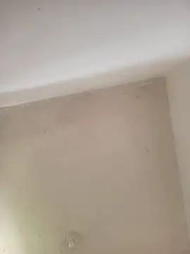 priscilaf online show from April 14, 12:27 pm