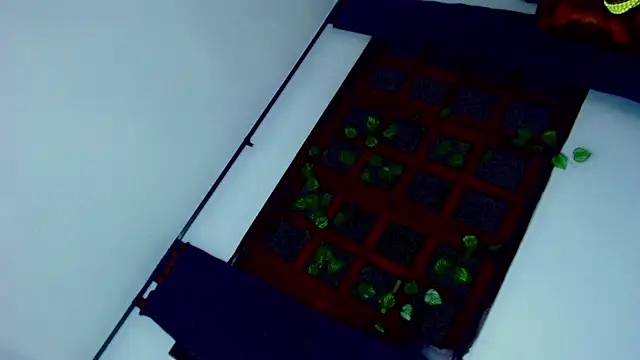 laaura dolll online show from March 27, 5:20 am