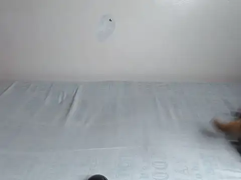 fabbie01  online show from July 14, 2:16 am