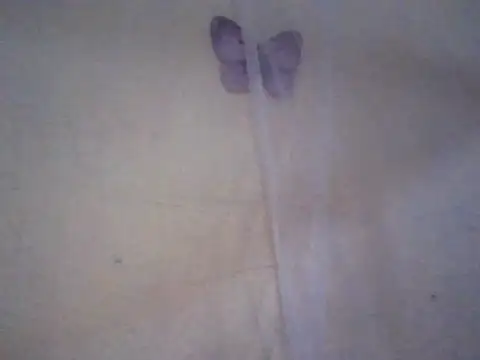 fatpusy002 online show from July 16, 7:07 pm