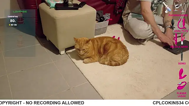 cplcokins34 online show from April 17, 12:07 pm