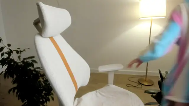 Pokemeboy online show from November 28, 6:33 pm