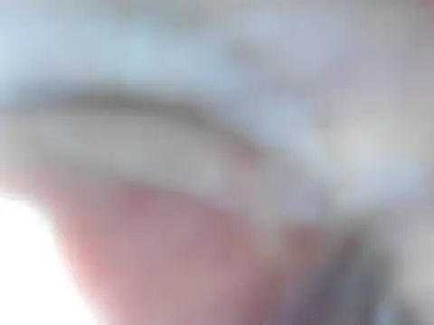 foxy-porn1 online show from January 10, 11:42 pm