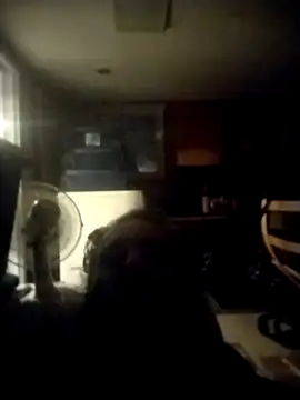 AceticPinscher online show from December 2, 10:50 am