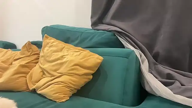 Iris cherry online show from February 3, 7:35 am