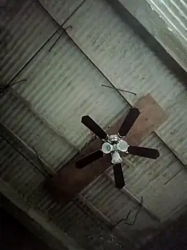 TropicalFlower online show from March 25, 9:50 pm