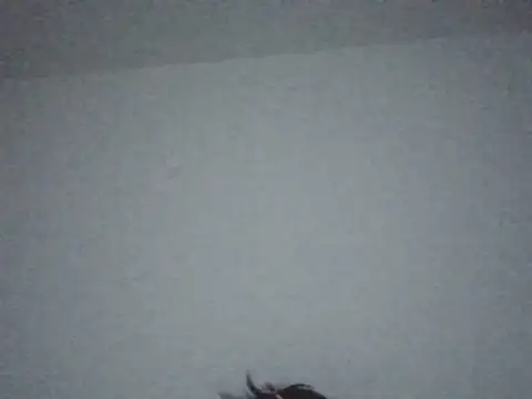 FallenDevil online show from July 14, 7:29 pm
