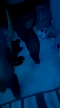 Misspadrona88 online show from December 13, 10:38 pm