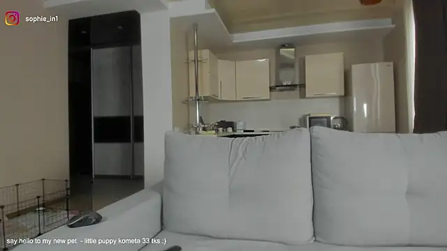  in yan online show from November 29, 3:43 am