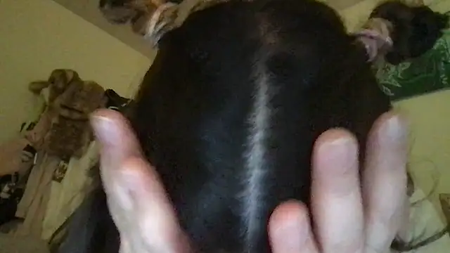 HYPHYtype online show from November 1, 7:45 am