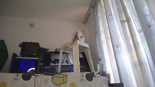 eolicasex online show from April 4, 4:28 pm