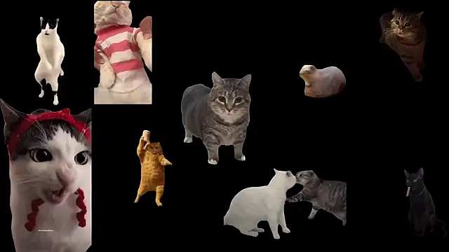 aberaaruba online show from November 24, 3:25 pm