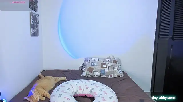 Abby Saenz01 online show from September 14, 12:19 am