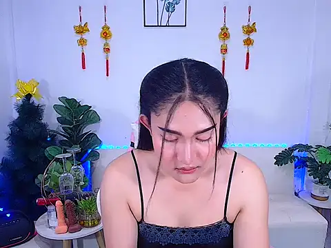 plysaithailand online show from February 20, 4:44 am