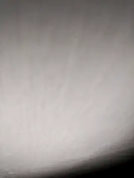 Annerae online show from April 9, 3:50 pm