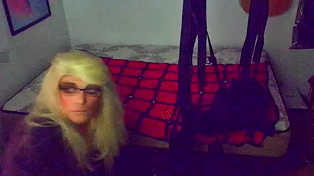 DoMeDoggyNow online show from November 1, 7:45 am